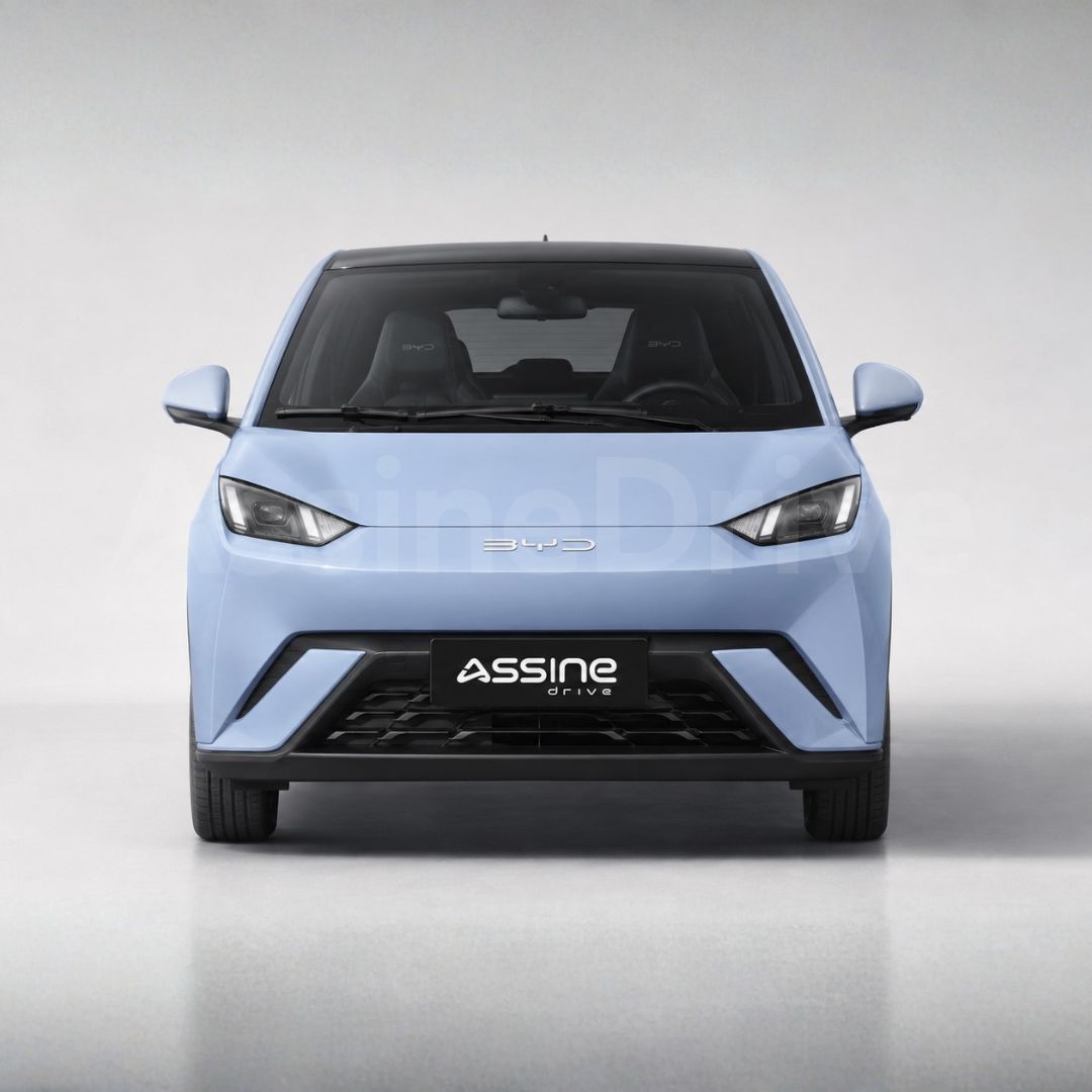 BYD BYD Dolphin Mini por assinatura
